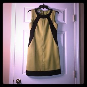 Maggy London Lime Green and Black Midi Dress💚🖤